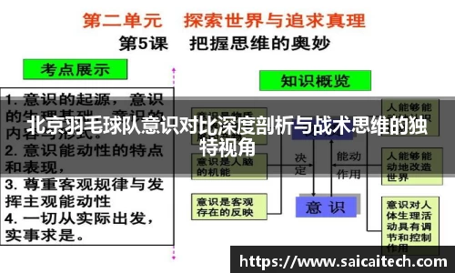 北京羽毛球队意识对比深度剖析与战术思维的独特视角